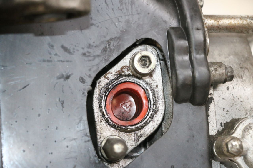 photo de ENGINE JM MOTORS SANTANA 50 (2014 - 2023) - Technical close-up