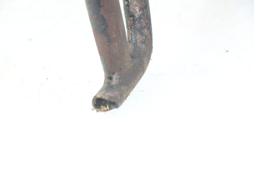 photo de ENGINE JM MOTORS SC 4T 50 (2012 - 2017) - Alternative perspective