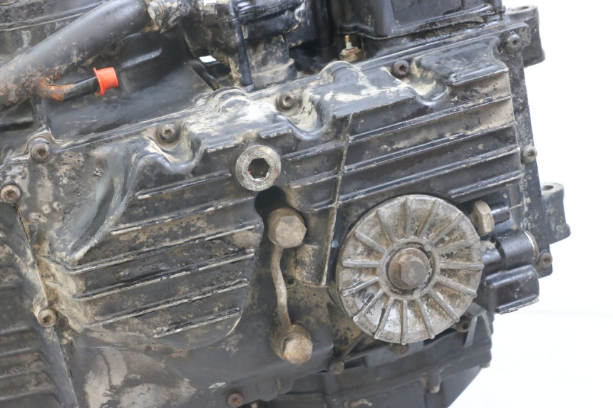 photo de ENGINE TRIUMPH SPEED TRIPLE T301 900 (1994 - 1996) - Product overview