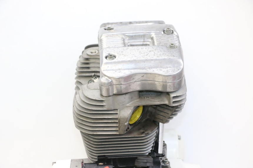 photo de ENGINE HARLEY DAVIDSON SPORTSTER XL CUSTOM 883 (1999 - 2006) - Focus on structure