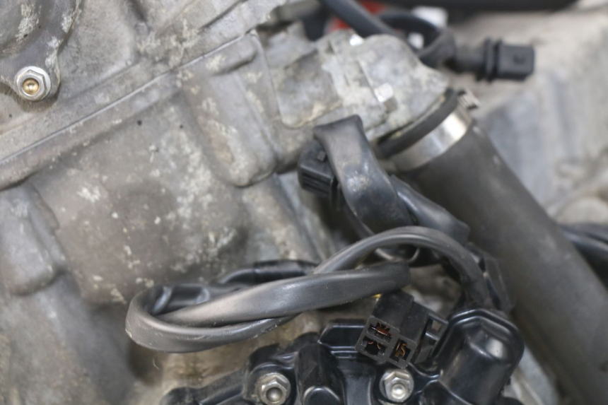 photo de ENGINE TRIUMPH SPRINT ST ABS 1050 (2005 - 2007) - Alternative perspective