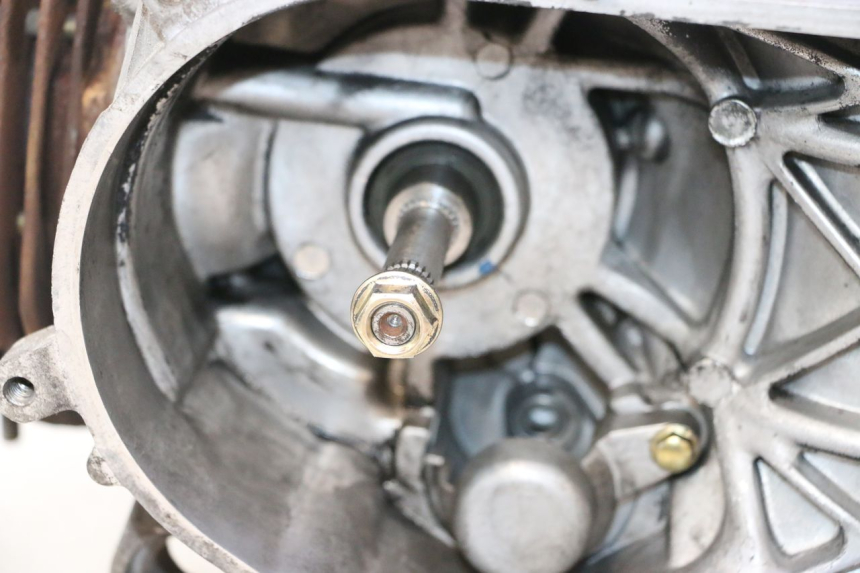 photo de ENGINE PEUGEOT STREETZONE NAKED 2T 50 (2014 - 2018) - Technical close-up