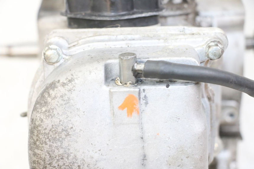 photo de ENGINE JM MOTORS SUNNY 50 (2017 - 2020) - Distinctive features