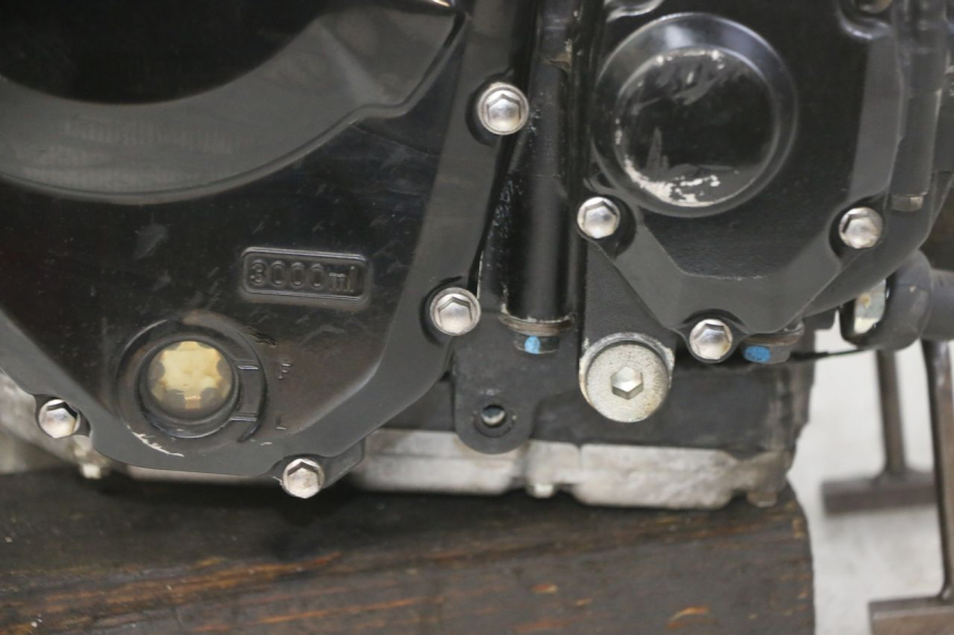 photo de ENGINE SUZUKI GSX F GSXF 650 (2007 - 2015) - Component detail