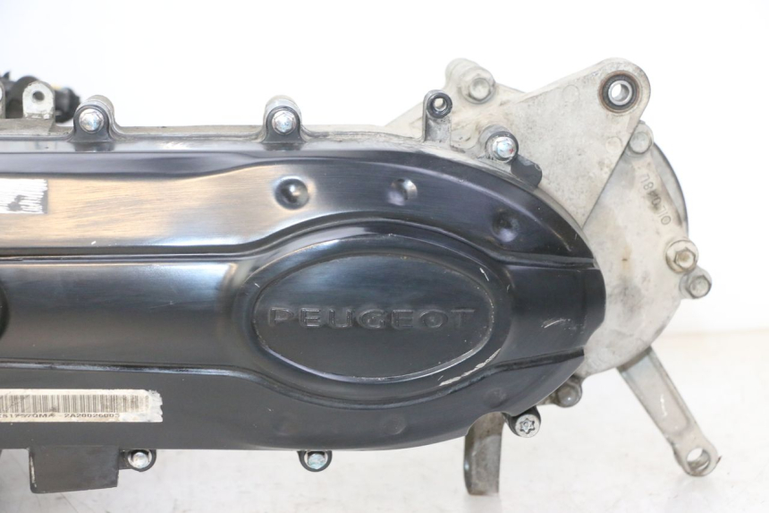 photo de ENGINE PEUGEOT TWEET 4T 50 (2018 - 2022) - Main view