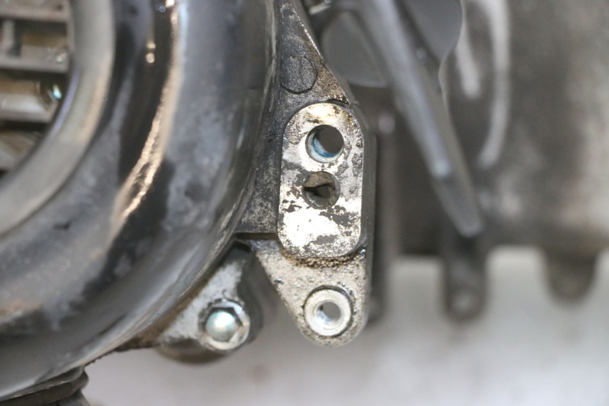 photo de ENGINE PEUGEOT TWEET 4T 50 (2018 - 2022) - Alternative perspective