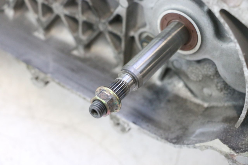 photo de ENGINE PEUGEOT TWEET 4T 50 (2018 - 2022) - Distinctive features