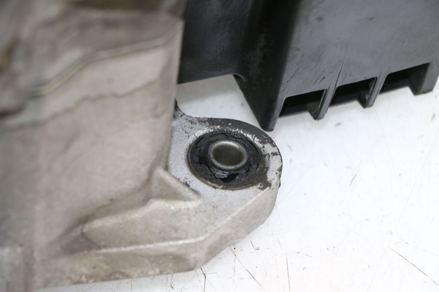 photo de ENGINE PEUGEOT TWEET PRO CARGO 50 (2018 - 2022) - High-resolution close-up