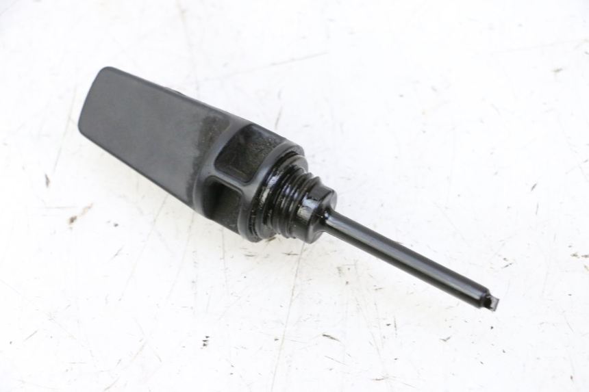 photo de ENGINE PEUGEOT TWEET PRO CARGO 50 (2018 - 2022) - Zoom on usage condition