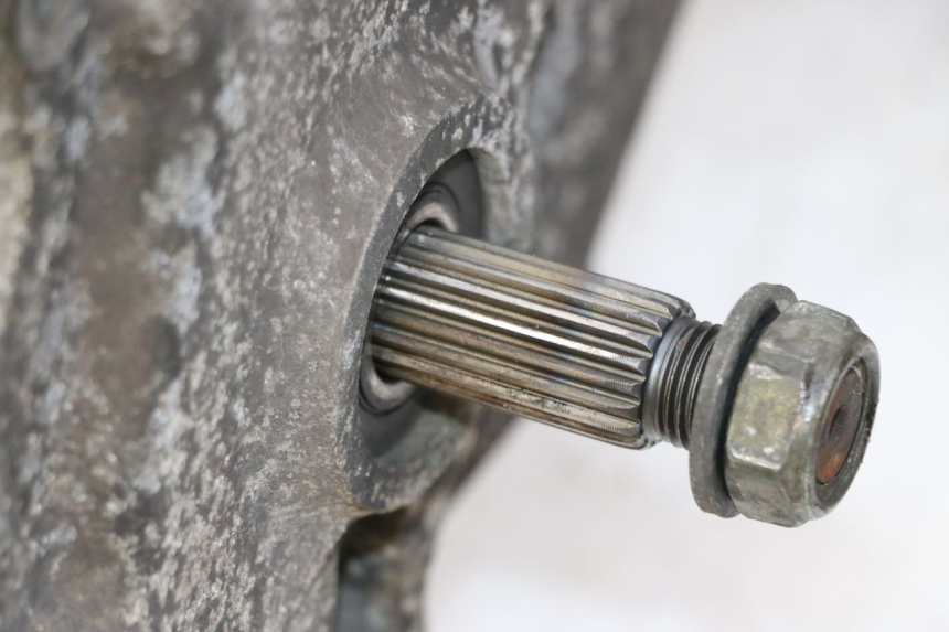 photo de ENGINE PEUGEOT TWEET PRO CARGO 50 (2018 - 2022) - Component detail