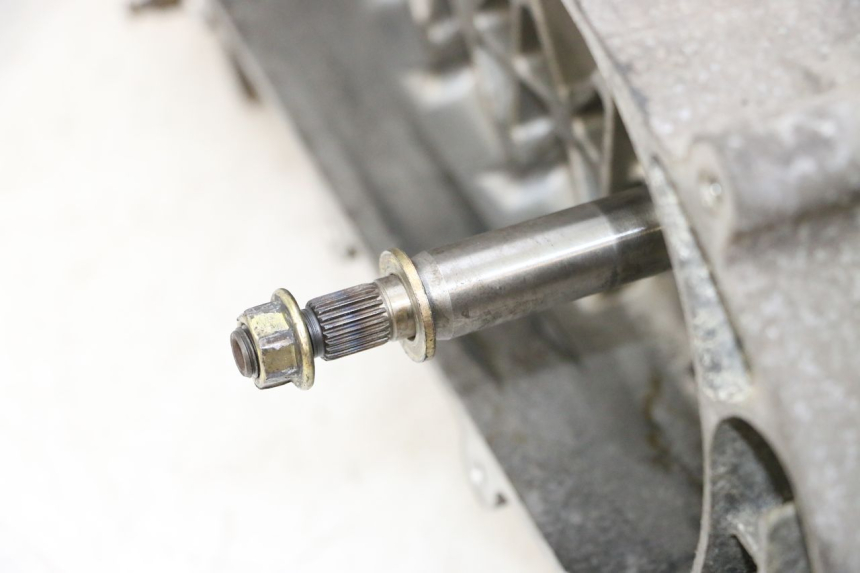 photo de ENGINE PEUGEOT TWEET PRO CARGO 50 (2018 - 2022) - Alternative perspective