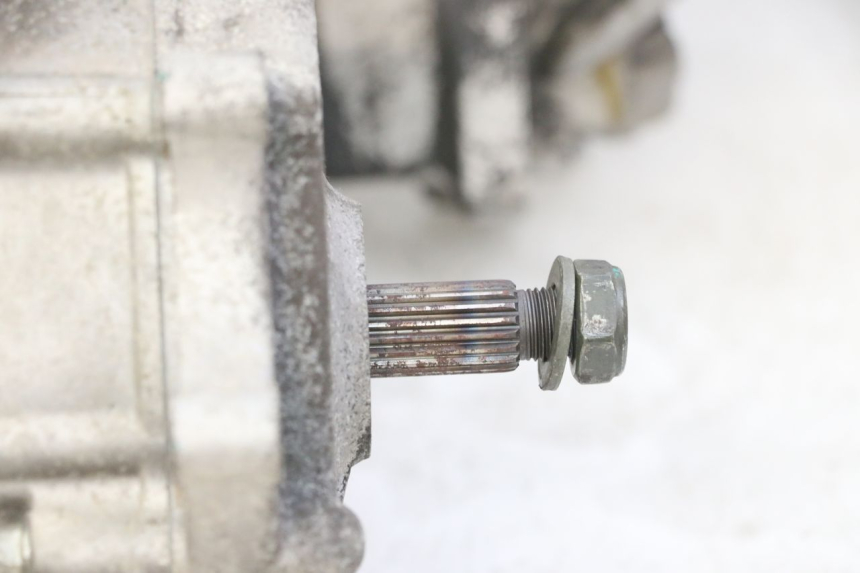 photo de ENGINE PEUGEOT TWEET PRO EFI 4T 50 (2021 - 2022) - High-resolution close-up