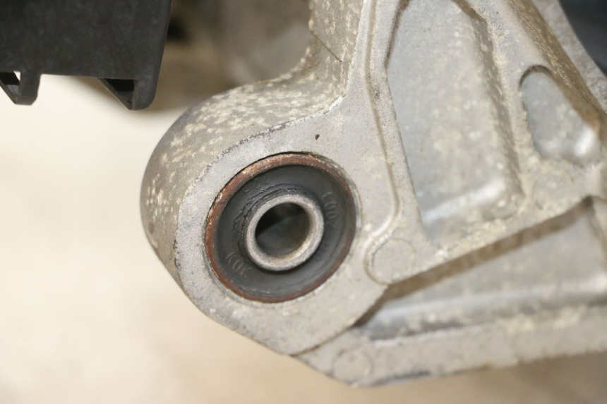 photo de ENGINE PEUGEOT TWEET PRO EFI 4T 50 (2021 - 2022) - Zoom on usage condition