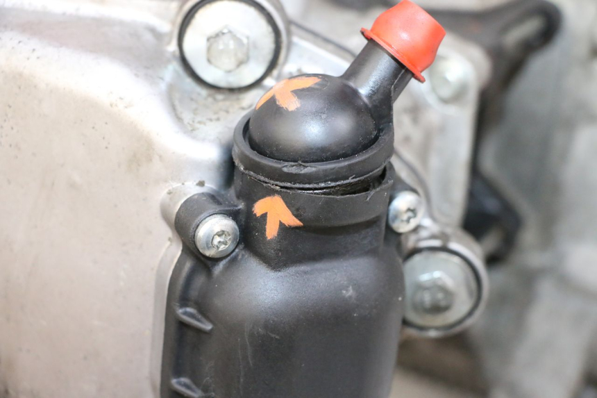 photo de ENGINE PIAGGIO VESPA GTS SUPER IE 125 (2009 - 2016) - Surface and material condition