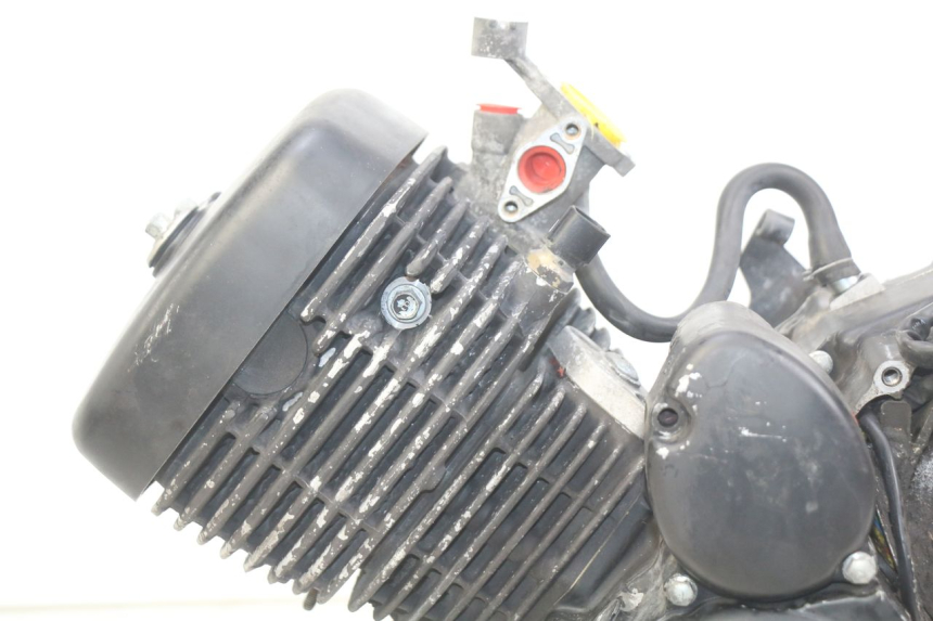 photo de ENGINE DAELIM VL DAYSTAR 125 (2000 - 2011) - Supplementary product photo