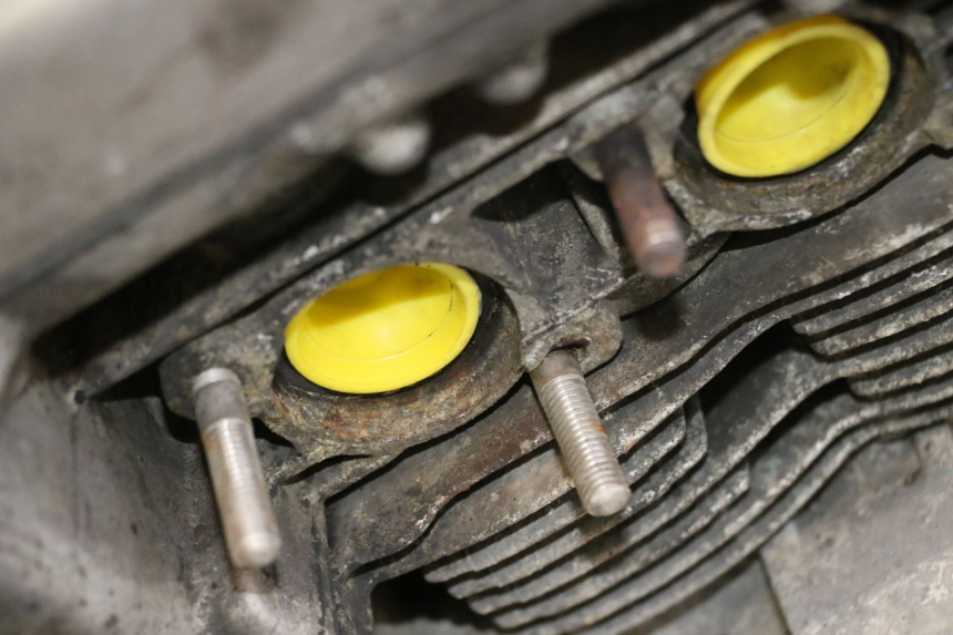 photo de ENGINE YAMAHA XJN DIVERSION 600 (2000 - 2003) - Distinctive features