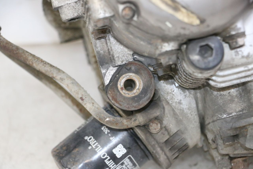 photo de ENGINE YAMAHA XJN DIVERSION 600 (2000 - 2003) - Detailed visual inspection