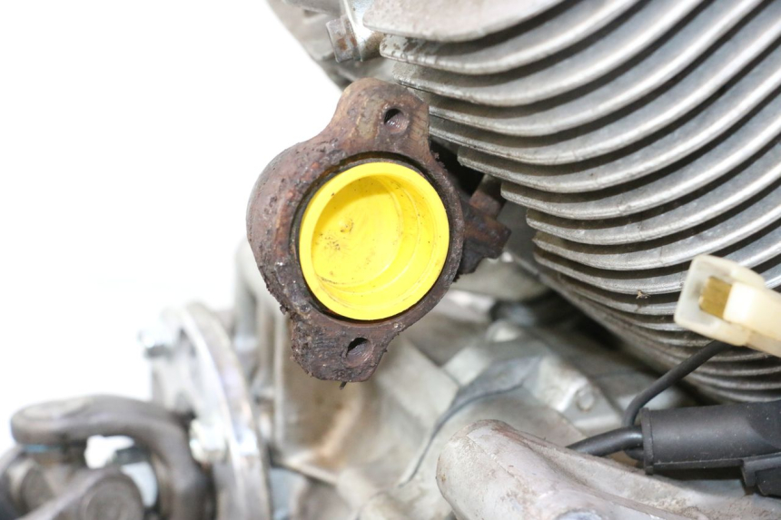 photo de ENGINE YAMAHA XV VIRAGO 535 (1988 - 2004) - Distinctive features