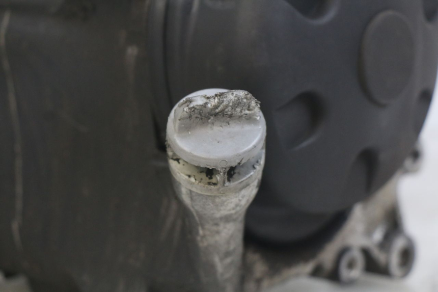 photo de ENGINE YAMAHA YP MAJESTY 125 (2007 - 2010) - Product overview