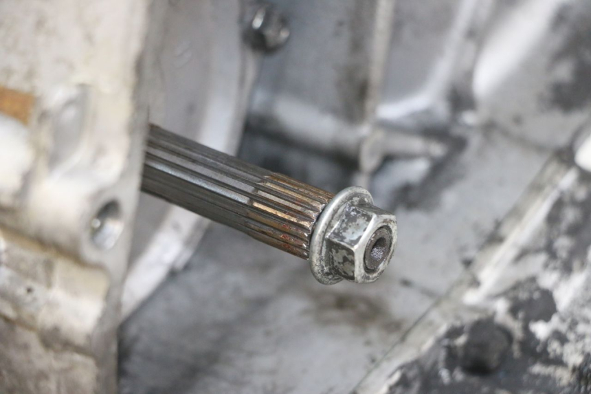 photo de ENGINE PIAGGIO ZIP 4T 50 (2018 - 2020) - Alternative angle