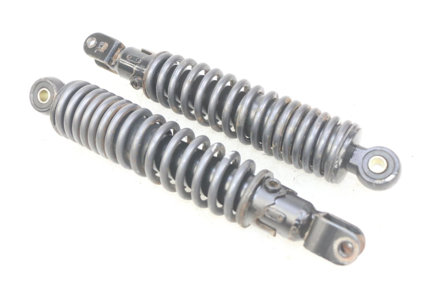 photo de REAR SHOCK ABSORBER PAIR ECCITY ARTELEC 670 1 (2013 - 2017) - Main view