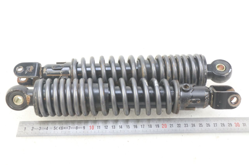 photo de REAR SHOCK ABSORBER PAIR ECCITY ARTELEC 670 1 (2013 - 2017) - Zoom on usage condition