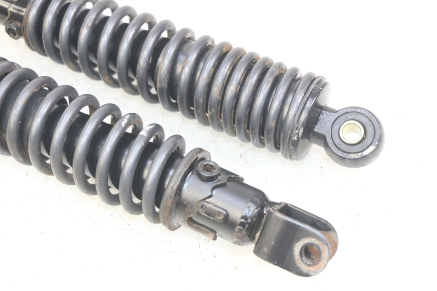 photo de REAR SHOCK ABSORBER PAIR ECCITY ARTELEC 670 1 (2013 - 2017) - Technical close-up