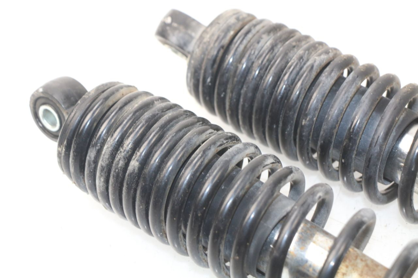 photo de REAR SHOCK ABSORBER ERIDER CARGO 1 (2009 - 2018) - Technical close-up