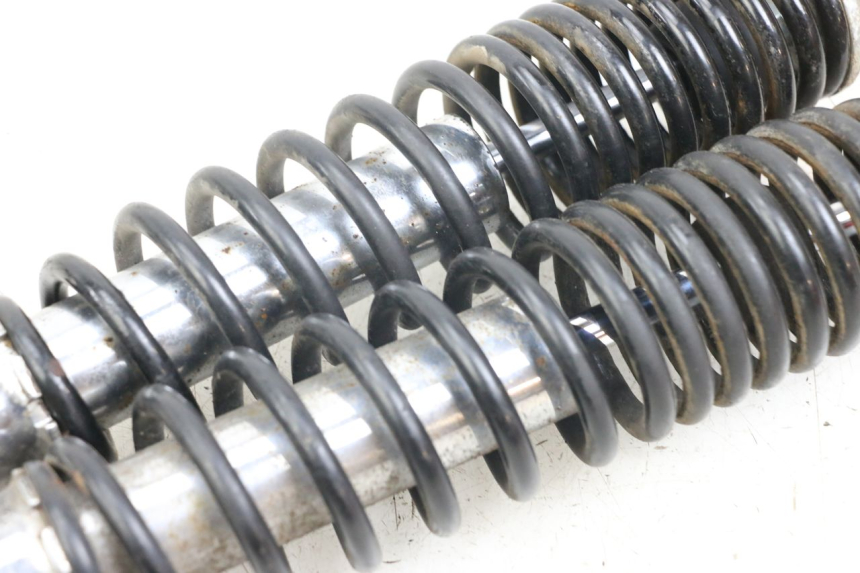 photo de REAR SHOCK ABSORBER PAIR DAELIM S3 125 (2010 - 2017) - Surface and material condition