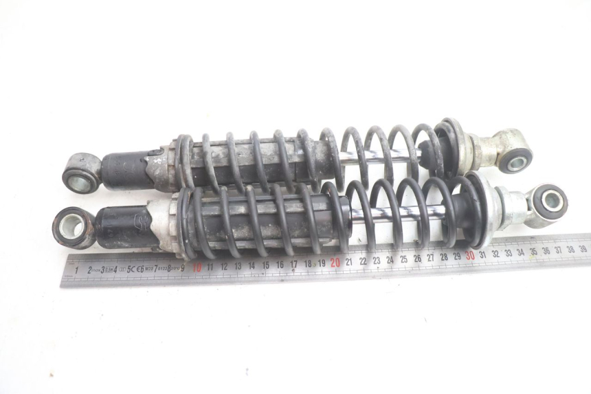 photo de REAR SHOCK ABSORBER PAIR PIAGGIO X9 EVOLUTION 125 (2003 - 2007) - Focus on structure