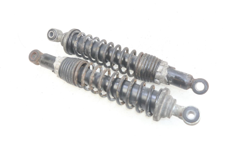 photo de REAR SHOCK ABSORBER PAIR PIAGGIO X9 125 (2000 - 2003) - Main view
