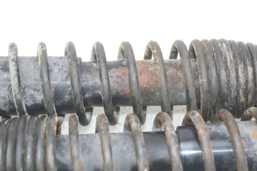 photo de REAR SHOCK ABSORBER PAIR PIAGGIO X9 125 (2000 - 2003) - Alternative perspective