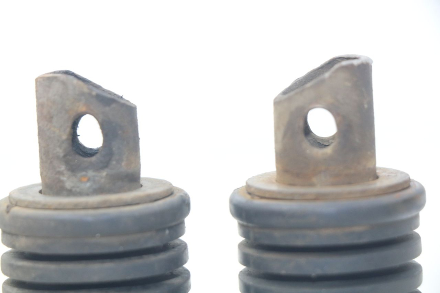 photo de PAIR OF REAR FOOTRESTS SUZUKI XF FREEWIND 650 (1997 - 2003) - Zoom on usage condition