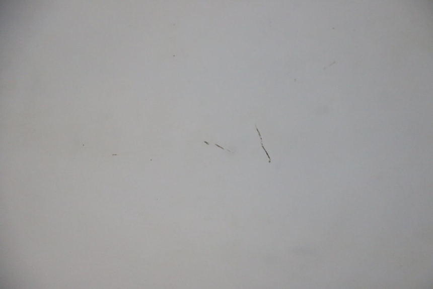 photo de WINDSCREEN HONDA FES S-WING SWING ABS 125 (2007 - 2015) - High-resolution close-up