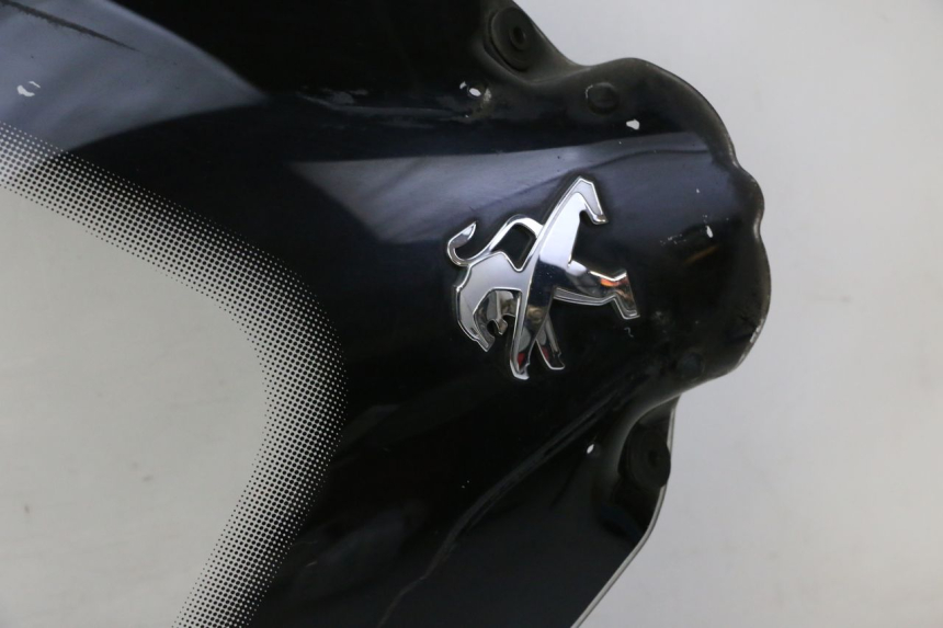 photo de WINDSCREEN PEUGEOT SATELIS 125 (2010 - 2012) - Focus on structure