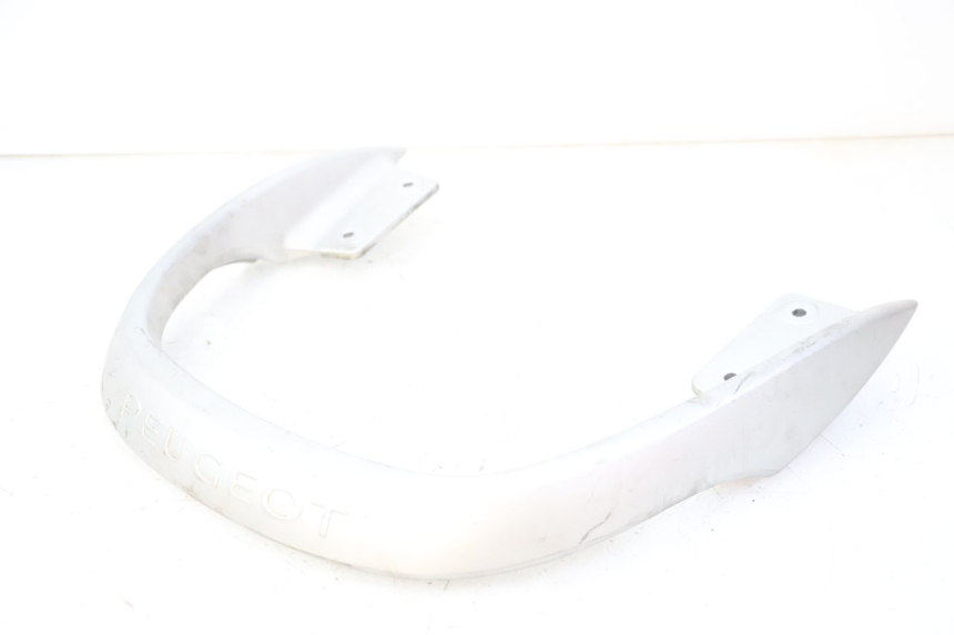 photo de GRAB RAIL PEUGEOT CITYSTAR 125 (2011 - 2017) - Zoom on usage condition