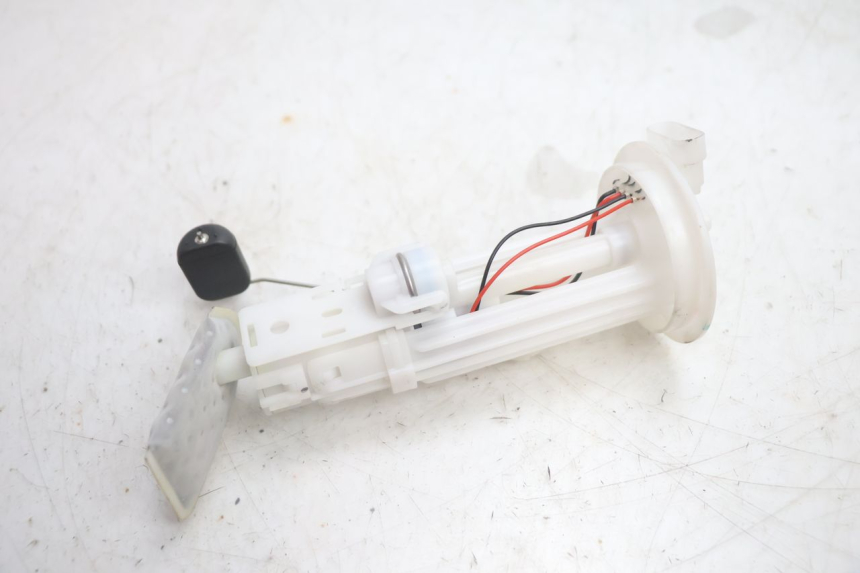 photo de FUEL PUMP JM MOTORS R-MAX TECH 50 (2024 - 2026) - Main view