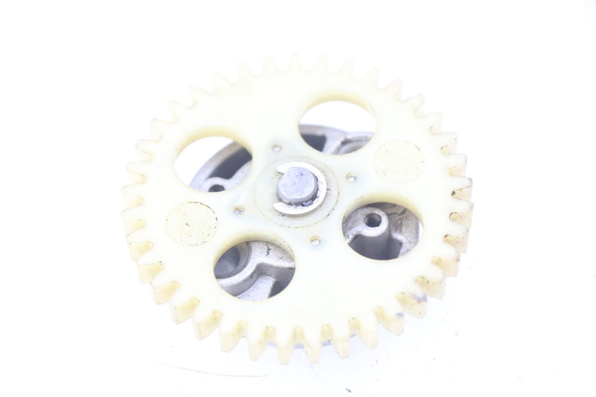 photo de OIL PUMP XTRM FACTORY DIRTBIKE BSE 150 - Main view