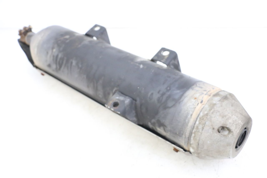 photo de EXHAUST PEUGEOT GEOPOLIS RS 125 (2007 - 2009) - Alternative perspective