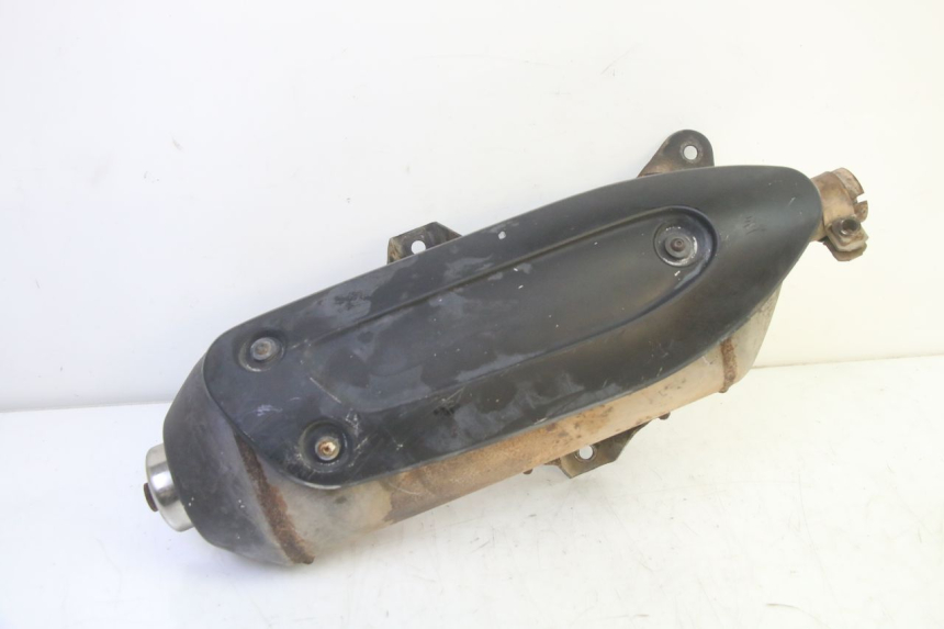 photo de EXHAUST PIAGGIO MP3 RL 250 (2006 - 2010) - Main view