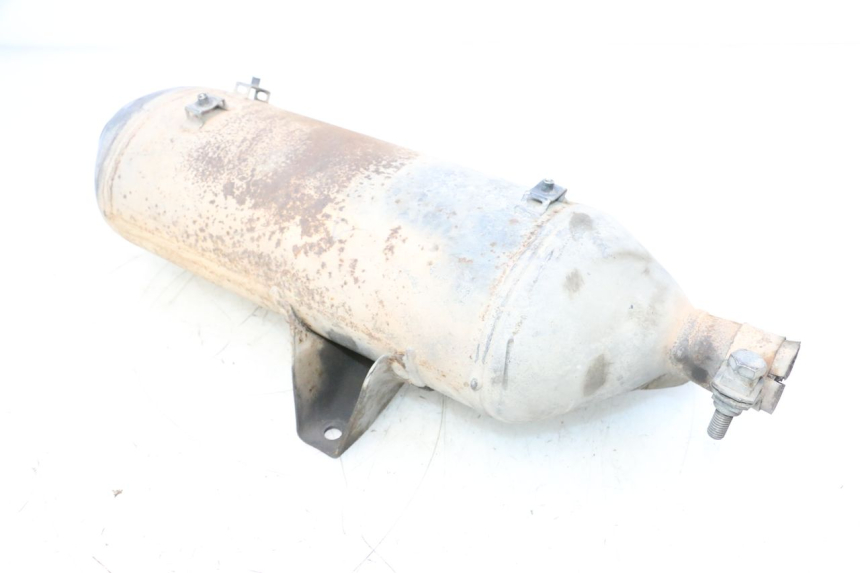 photo de EXHAUST PIAGGIO MP3 RL 250 (2006 - 2010) - Focus on structure