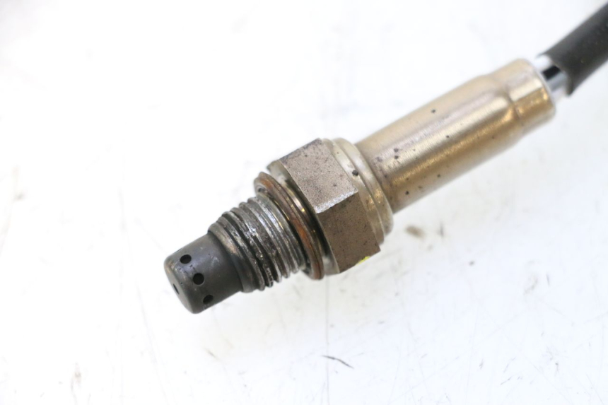 photo de EXHAUST JM MOTORS R-MAX TECH 50 (2024 - 2026) - Alternative perspective