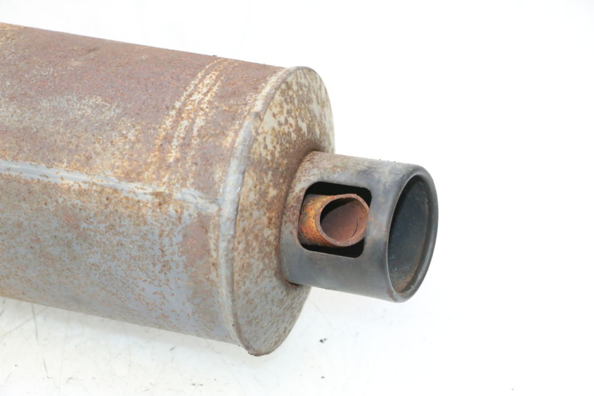 photo de EXHAUST ORCAL RAPTOR 50 (2015 - 2021) - Alternative perspective