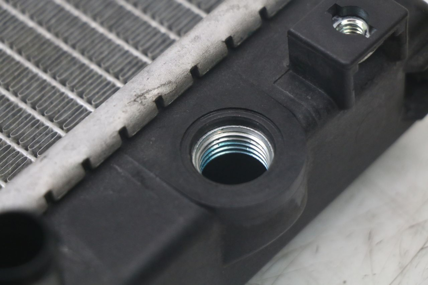 photo de RADIATOR QUADRO 3D S 350 (2013 - 2018) - Surface and material condition