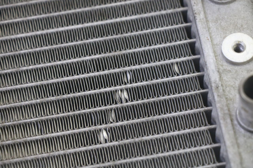 photo de RADIATOR SUZUKI BURGMAN 125 (2007 - 2014) - Alternative perspective