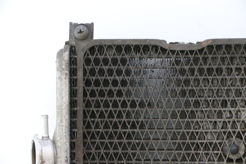 photo de COOLANT RADIATOR SUZUKI BURGMAN EXECUTIVE ABS 650 (2006 - 2012) - Used quality zoom