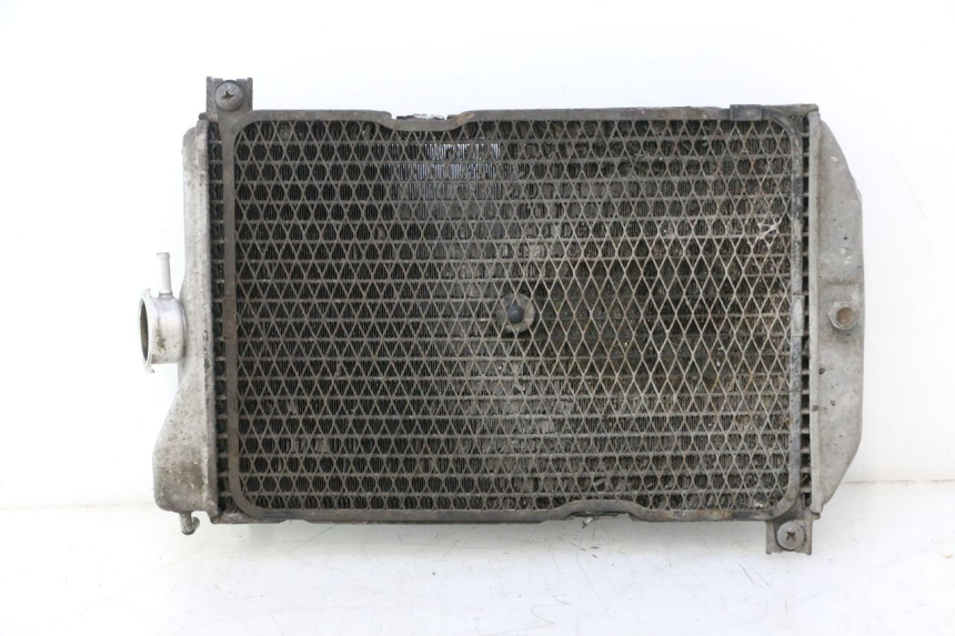 photo de COOLANT RADIATOR SUZUKI BURGMAN EXECUTIVE ABS 650 (2006 - 2012) - Spare part profile view