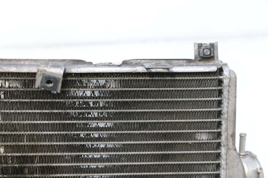 photo de COOLANT RADIATOR SUZUKI BURGMAN EXECUTIVE ABS 650 (2006 - 2012) - Zoom on usage condition