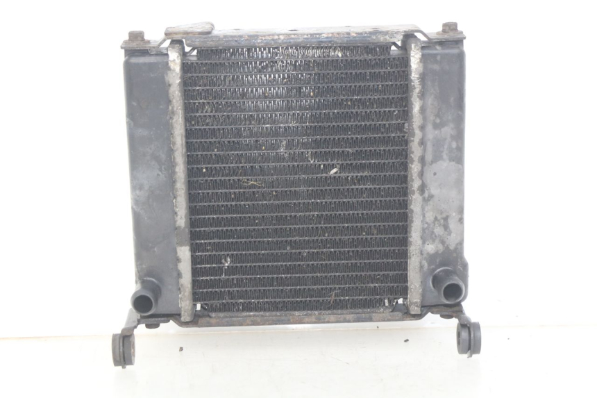 photo de RADIATOR KYMCO DINK STREET 125 (2009 - 2014) - Main view