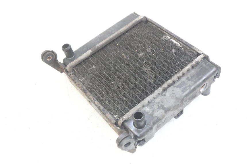 photo de RADIATOR KYMCO DINK STREET 125 (2009 - 2014) - Zoom on usage condition